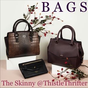 BAGS: THE SKINNY👛 @ThistleThrifter 👜